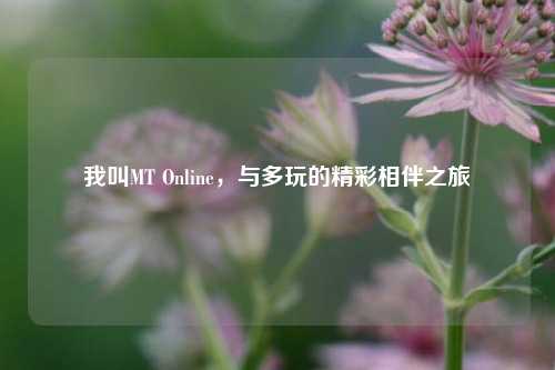 我叫MT Online，与多玩的精彩相伴之旅