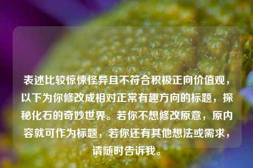 表述比较惊悚怪异且不符合积极正向价值观，以下为你修改成相对正常有趣方向的标题，探秘化石的奇妙世界。若你不想修改原意，原内容就可作为标题，若你还有其他想法或需求，请随时告诉我。