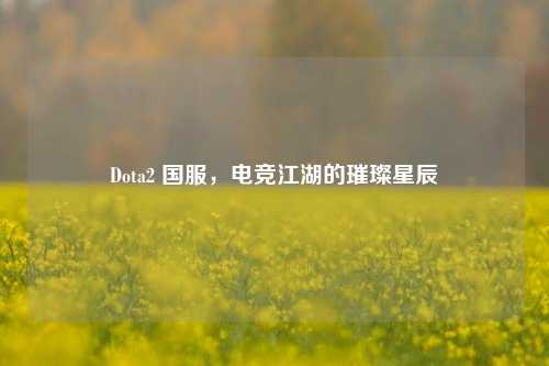 Dota2 国服，电竞江湖的璀璨星辰