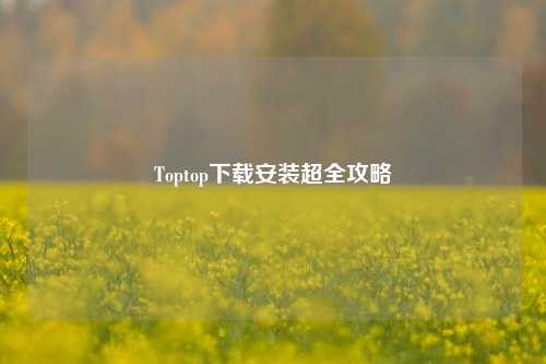 Toptop下载安装超全攻略
