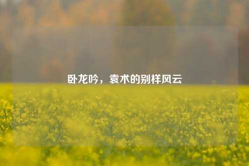 卧龙吟，袁术的别样风云
