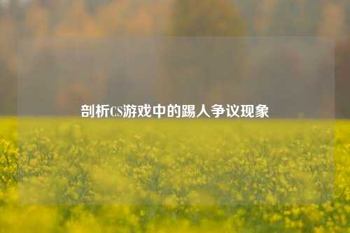 剖析CS游戏中的踢人争议现象