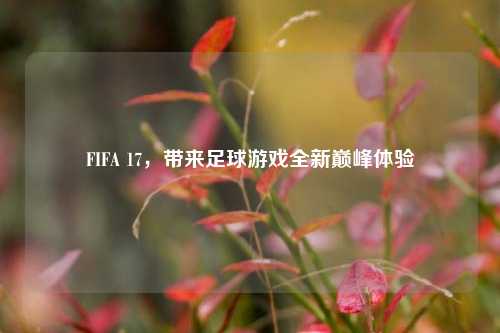 FIFA 17，带来足球游戏全新巅峰体验