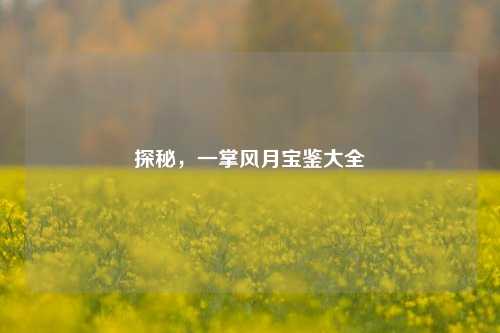 探秘，一掌风月宝鉴大全