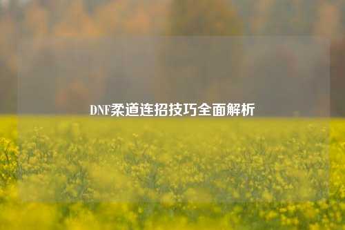 DNF柔道连招技巧全面解析
