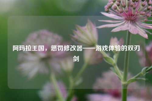 阿玛拉王国，惩罚修改器——游戏体验的双刃剑