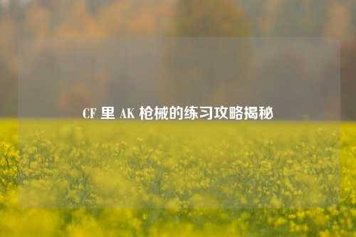 CF 里 AK 枪械的练习攻略揭秘