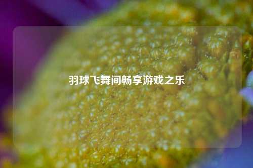 羽球飞舞间畅享游戏之乐