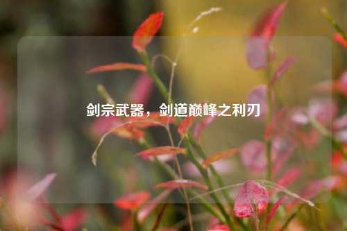 剑宗武器，剑道巅峰之利刃