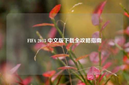 FIFA 2013 中文版下载全攻略指南