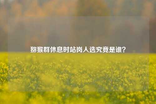 猕猴群休息时站岗人选究竟是谁？