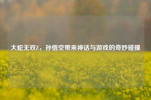 大蛇无双Z,孙悟空带来神话与游戏的奇妙碰撞