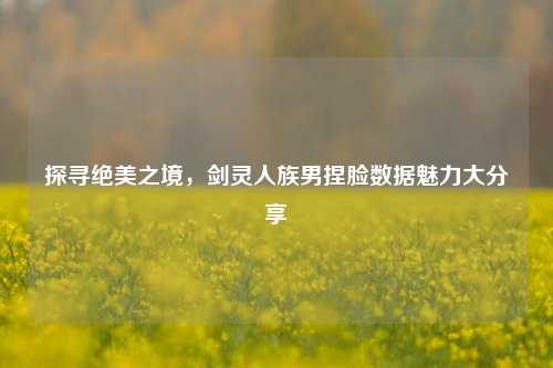 探寻绝美之境，剑灵人族男捏脸数据魅力大分享