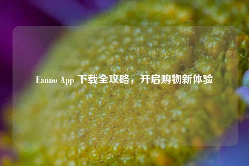 Fanno App 下载全攻略,开启购物新体验