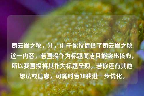 司云崖之秘,注,由于你仅提供了司云崖之秘这一内容,若直接作为标题简洁且能突出核心,所以我直接将其作为标题呈现。若你还有其他想法或信息,可随时告知我进一步优化。