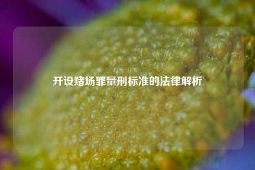 开设赌场罪量刑标准的法律解析