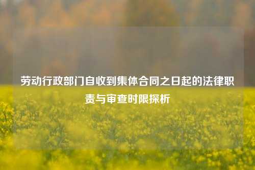劳动行政部门自收到集体合同之日起的法律职责与审查时限探析