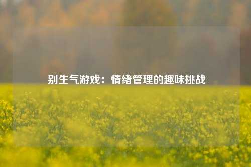 别生气游戏：情绪管理的趣味挑战