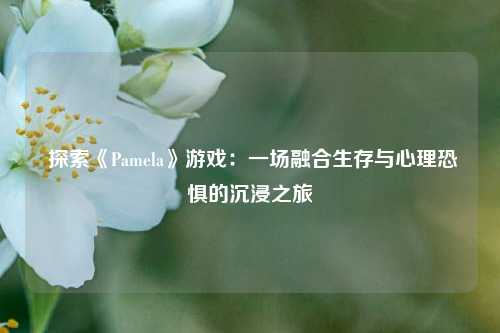 探索《Pamela》游戏：一场融合生存与心理恐惧的沉浸之旅