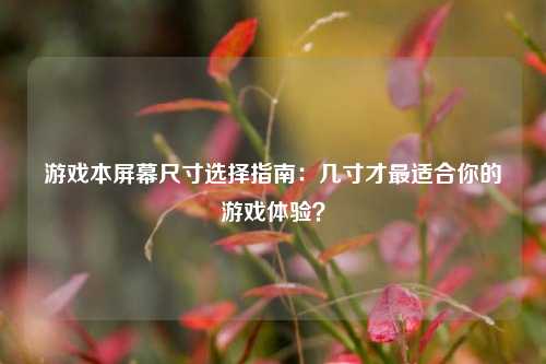游戏本屏幕尺寸选择指南：几寸才最适合你的游戏体验？