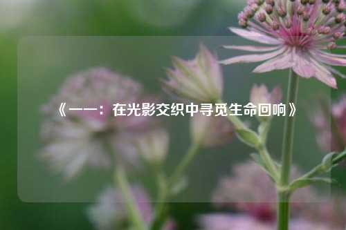《一一：在光影交织中寻觅生命回响》