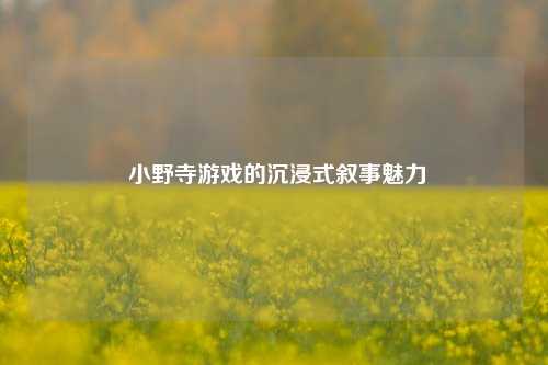  小野寺游戏的沉浸式叙事魅力