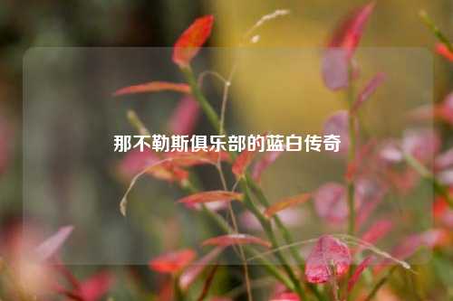 那不勒斯俱乐部的蓝白传奇