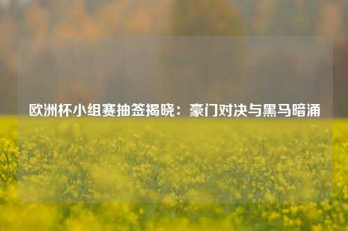 欧洲杯小组赛抽签揭晓:豪门对决与黑马暗涌