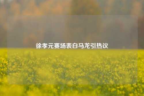 徐孝元赛场表白马龙引热议