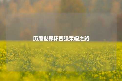 历届世界杯四强荣耀之路
