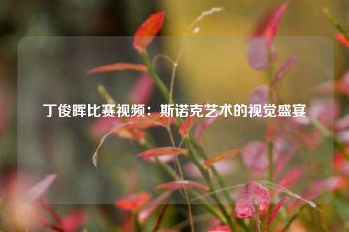 丁俊晖比赛视频：斯诺克艺术的视觉盛宴