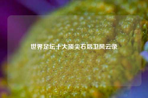 世界足坛十大顶尖右后卫风云录