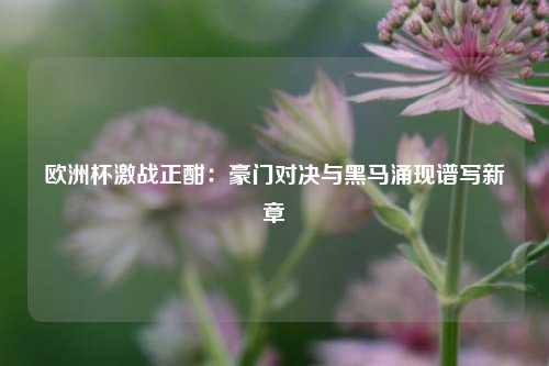 欧洲杯激战正酣：豪门对决与黑马涌现谱写新章
