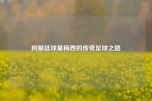 阿根廷球星梅西的传奇足球之路