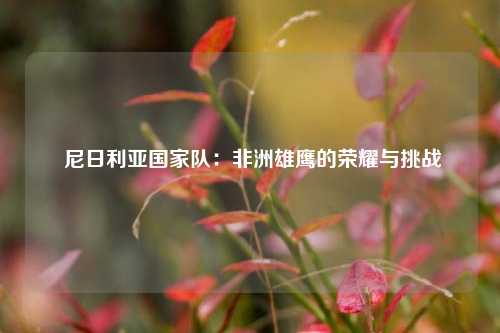  尼日利亚国家队：非洲雄鹰的荣耀与挑战