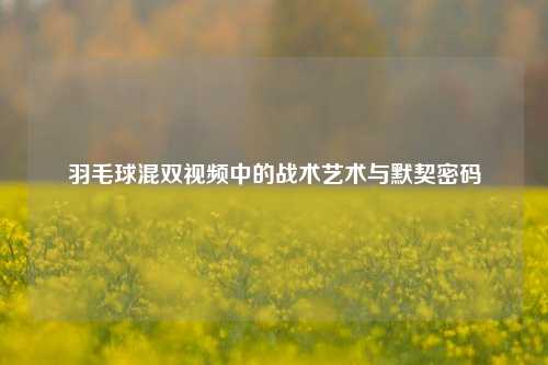 羽毛球混双视频中的战术艺术与默契密码