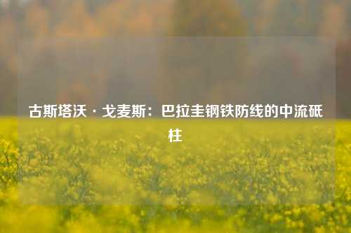 古斯塔沃·戈麦斯：巴拉圭钢铁防线的中流砥柱