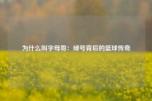 为什么叫字母哥:绰号背后的篮球传奇