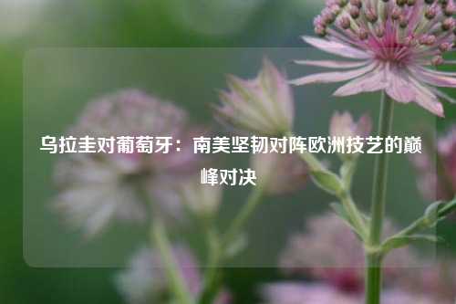  乌拉圭对葡萄牙：南美坚韧对阵欧洲技艺的巅峰对决