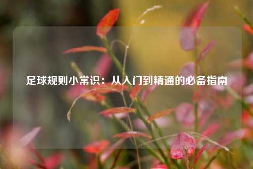 足球规则小常识：从入门到精通的必备指南