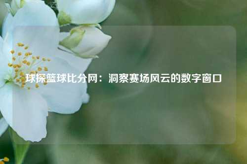 球探篮球比分网：洞察赛场风云的数字窗口