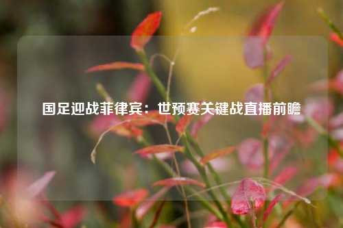 国足迎战菲律宾:世预赛关键战直播前瞻