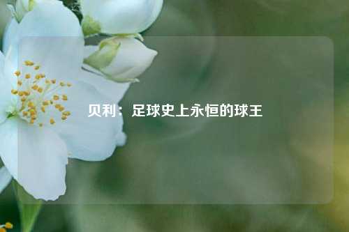 贝利:足球史上永恒的球王