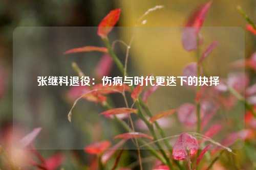 张继科退役：伤病与时代更迭下的抉择