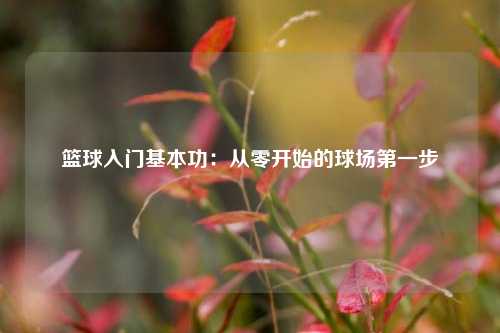 篮球入门基本功:从零开始的球场第一步