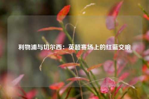 利物浦与切尔西：英超赛场上的红蓝交响