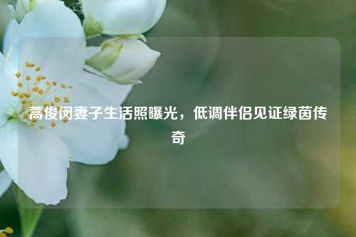 蒿俊闵妻子生活照曝光，低调伴侣见证绿茵传奇