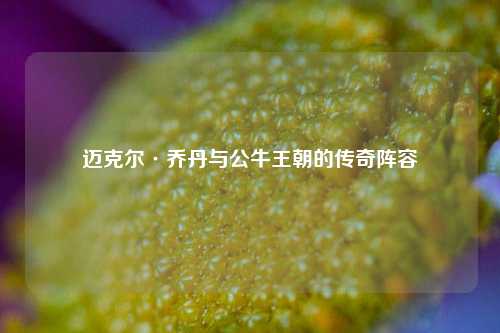 迈克尔·乔丹与公牛王朝的传奇阵容