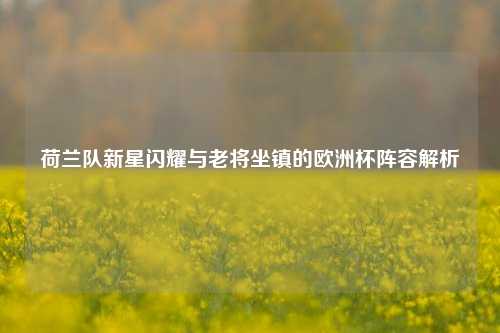 荷兰队新星闪耀与老将坐镇的欧洲杯阵容解析
