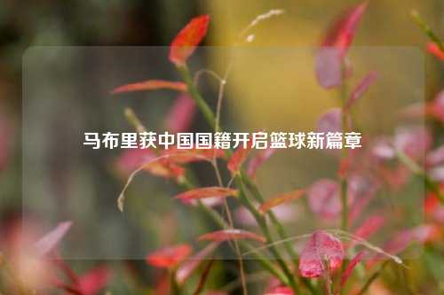 马布里获中国国籍开启篮球新篇章